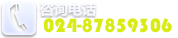 024-87859306
